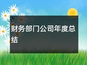 財(cái)務(wù)部門公司年度總結(jié)