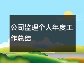 公司監(jiān)理個(gè)人年度工作總結(jié)