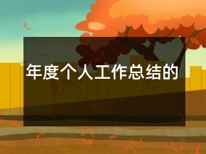 年度個(gè)人工作總結(jié)的
