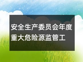 安全生產(chǎn)委員會年度重大危險源監(jiān)管工作總結(jié)