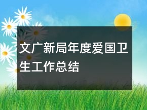 文廣新局年度愛國衛(wèi)生工作總結(jié)