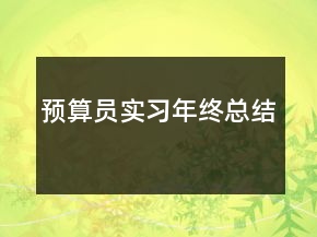 預算員實習年終總結