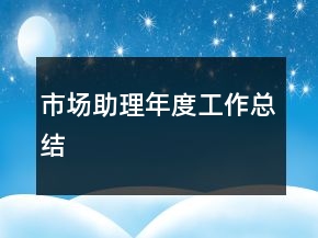 市場助理年度工作總結(jié)