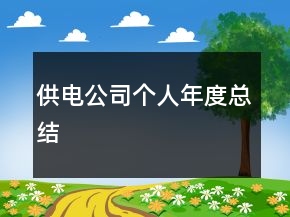 供電公司個(gè)人年度總結(jié)