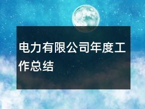 電力有限公司年度工作總結(jié)