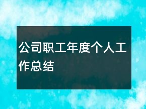 公司職工年度個人工作總結(jié)