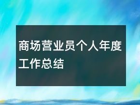 商場(chǎng)營(yíng)業(yè)員個(gè)人年度工作總結(jié)