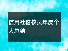 信用社稽核員年度個人總結(jié)