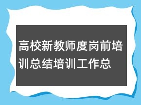 高校新教師度崗前培訓(xùn)總結(jié)培訓(xùn)工作總結(jié)