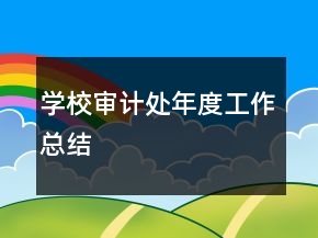 學校審計處年度工作總結