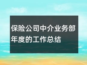 保險公司中介業(yè)務(wù)部年度的工作總結(jié)