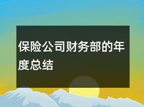 保險公司財務(wù)部的年度總結(jié)