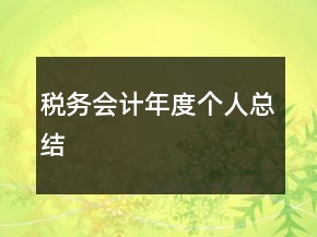 稅務(wù)會(huì)計(jì)年度個(gè)人總結(jié)