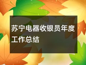 蘇寧電器收銀員年度工作總結(jié)
