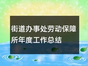 街道辦事處勞動(dòng)保障所年度工作總結(jié)