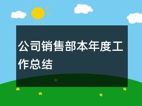公司銷售部本年度工作總結