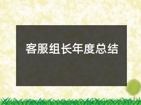 客服組長(zhǎng)年度總結(jié)