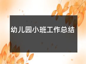 幼兒園小班工作總結(jié)