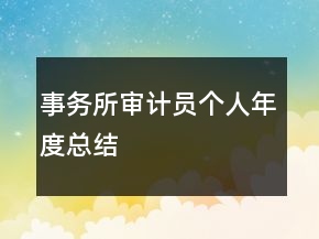 事務(wù)所審計(jì)員個(gè)人年度總結(jié)