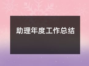助理年度工作總結