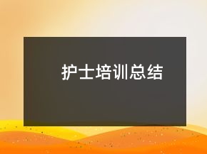 護(hù)士培訓(xùn)總結(jié)