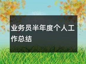 業(yè)務(wù)員半年度個人工作總結(jié)