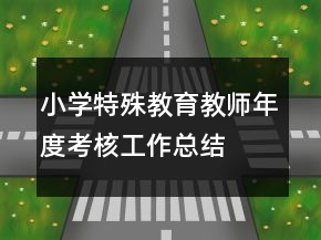 小學特殊教育教師年度考核工作總結