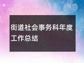 街道社會(huì)事務(wù)科年度工作總結(jié)