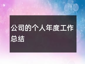 公司的個(gè)人年度工作總結(jié)