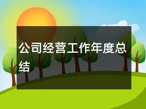 公司經(jīng)營工作年度總結(jié)