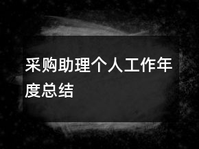 采購(gòu)助理個(gè)人工作年度總結(jié)