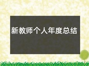 新教師個(gè)人年度總結(jié)