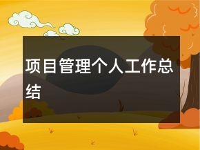 項目管理個人工作總結(jié)