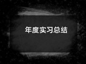 年度實(shí)習(xí)總結(jié)