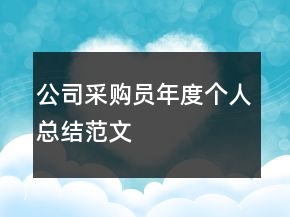 公司采購員年度個(gè)人總結(jié)范文