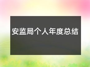 安監(jiān)局個(gè)人年度總結(jié)