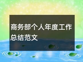 商務部個人年度工作總結范文
