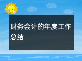 財務會計的年度工作總結(jié)