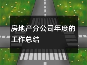 房地產(chǎn)分公司年度的工作總結(jié)