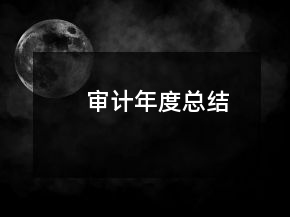 審計年度總結(jié)