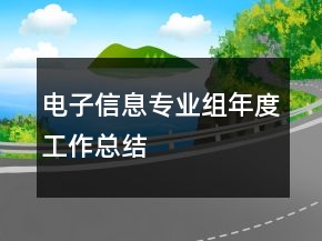 電子信息專業(yè)組年度工作總結(jié)