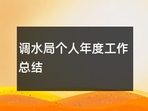 調水局個人年度工作總結