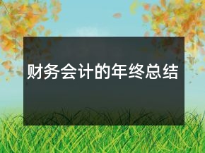 財(cái)務(wù)會(huì)計(jì)的年終總結(jié)