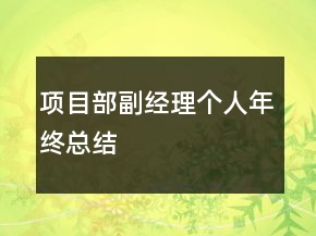 項(xiàng)目部副經(jīng)理個(gè)人年終總結(jié)