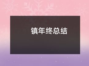 鎮(zhèn)年終總結(jié)