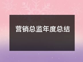 營銷總監(jiān)年度總結(jié)