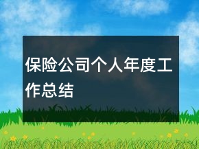 保險公司個人年度工作總結(jié)