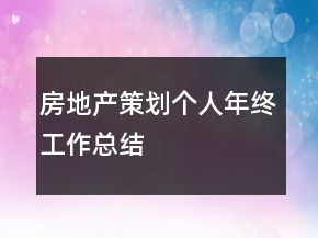 房地產(chǎn)策劃個(gè)人年終工作總結(jié)