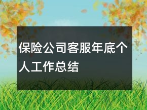 保險(xiǎn)公司客服年底個(gè)人工作總結(jié)