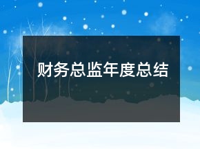 財(cái)務(wù)總監(jiān)年度總結(jié)